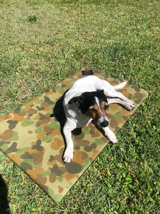 Doggo Camping Mat Lg